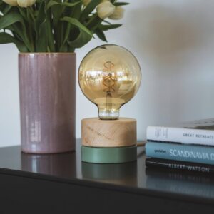 Svítidlo Almut von Wildheim borovice limba/zelená borové dřevo