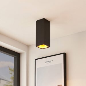 Svítidlo Arcchio černá/zlatá železo/hliník