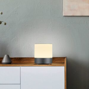 Svítidlo BANKAMP antracit matný eloxovaný/bílá kov/sklo