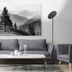 Svítidlo BANKAMP černá mosaz