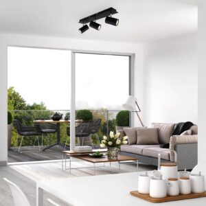 Svítidlo Briloner černá kov