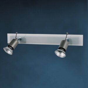 Svítidlo Busch nikl/čirá kov/sklo