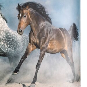 Svítidlo Duolla rozmanitá PVC