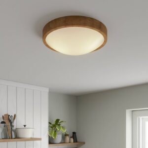 Svítidlo Envostar přírodní dub/satinovaný dřevo/sklo