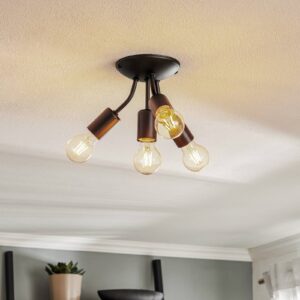 Svítidlo Euluna černá kov