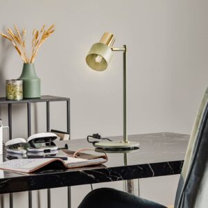 Svítidlo Euluna šalvějová/mosaz ocel