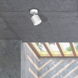 Svítidlo Euluna bílá kov