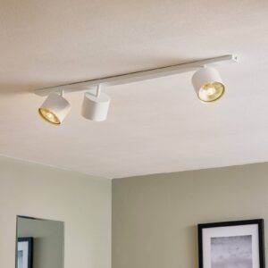 Svítidlo Euluna bílý kov