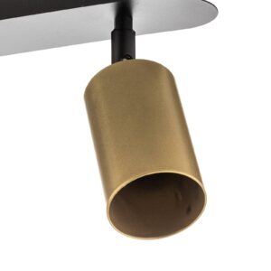 Svítidlo Euluna černá/zlatá ocel