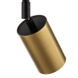 Svítidlo Euluna černá/zlatá ocel