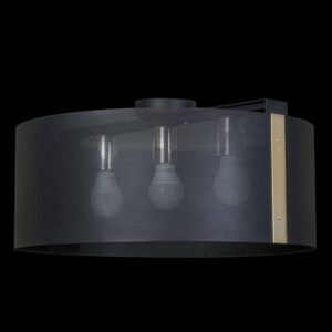 Svítidlo Euluna černá/zlatá ocel