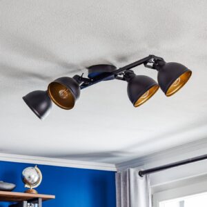 Svítidlo Euluna černá/zlatá ocel