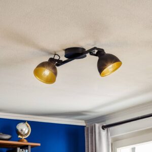 Svítidlo Euluna černá/zlatá ocel