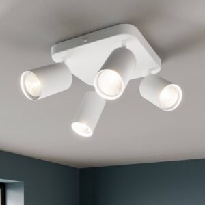 Svítidlo Euluna bílé kov