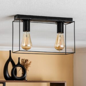 Svítidlo Euluna černá kov