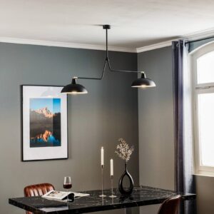 Svítidlo Euluna černá/zlatá kov