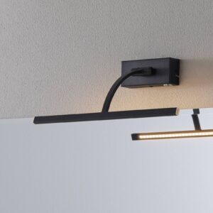 Svítidlo Freelight černé ocel