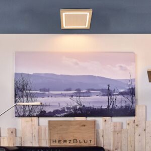 Svítidlo HerzBlut dub přírodní masivní dřevo/kov/plast