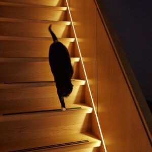 Svítidlo Innr Lighting bílá plast