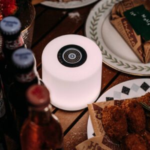 Svítidlo LUTEC connect bílá plast