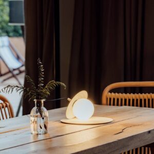 Svítidlo Milan Iluminación norková (NCS S2005-Y10R)/opálová hliník/ocel/sklo