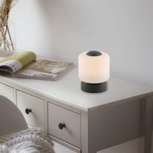 Svítidlo Paul Neuhaus antracit železo/sklo