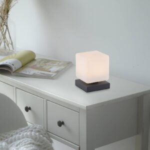 Svítidlo Paul Neuhaus antracit/bílá železo/sklo