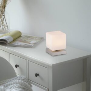 Svítidlo Paul Neuhaus ocel/bílá železo/sklo