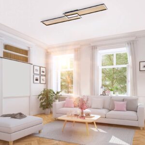 Svítidlo Paul Neuhaus černá/zlatá hliník/železo/plast