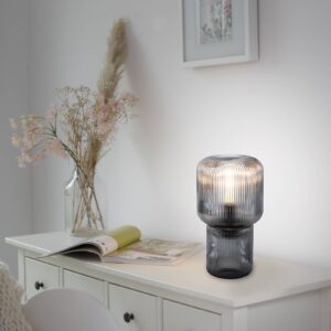 Svítidlo Paul Neuhaus kouřově šedá/průhledná plast/sklo