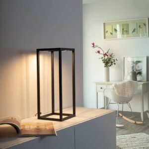 Svítidlo Paul Neuhaus černá železo