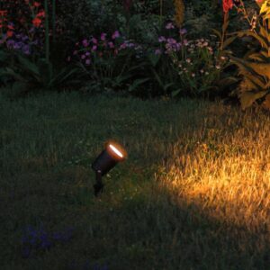 Svítidlo Paulmann černá kov