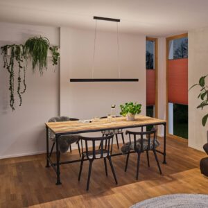 Svítidlo Paulmann černá kov