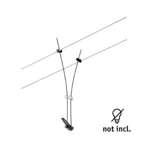 Svítidlo Paulmann matná černá kov