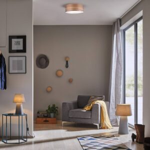 Svítidlo Paulmann tmavě hnědá/satinovaná dřevo/kov/plast