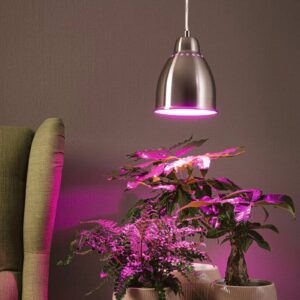 Svítidlo Paulmann kartáčované železo kov