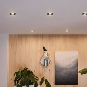 Svítidlo Paulmann černá hliník