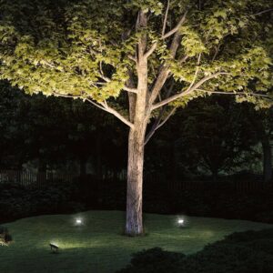 Svítidlo Paulmann černá hliník