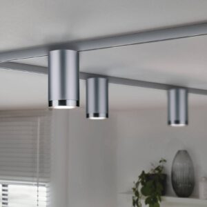 Svítidlo Paulmann chrom matný kov