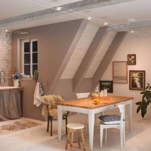 Svítidlo Paulmann bílý matný kov