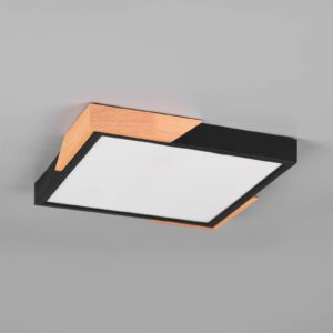 Svítidlo Reality Leuchten černá/světlé dřevo/opál plast/dřevo