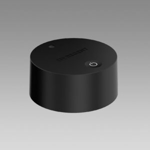 Svítidlo Regent Lighting černá