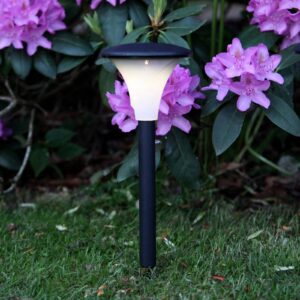 Svítidlo STAR TRADING černá/bílá plast