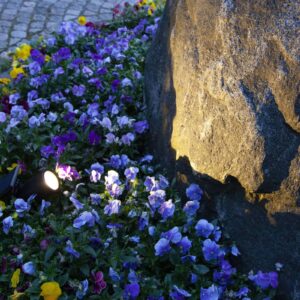 Svítidlo STAR TRADING černá plast