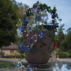 Svítidlo STAR TRADING černá/průhledná plast