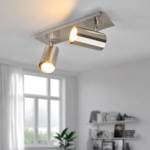 Svítidlo Trio Lighting niklová matná kov