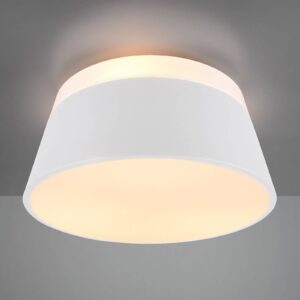 Svítidlo Trio Lighting bílá matná kov/plast