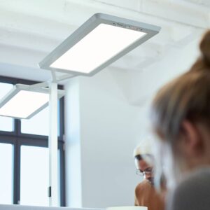 Svítidlo Waldmann kovové stříbro/satinované hliník/plast/ocel