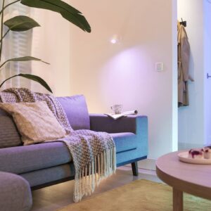 Svítidlo WiZ bílá kov