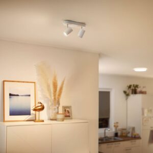 Svítidlo WiZ bílá kov